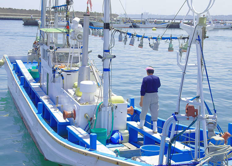 Tsukiji, the place continuously protected by the fishermen