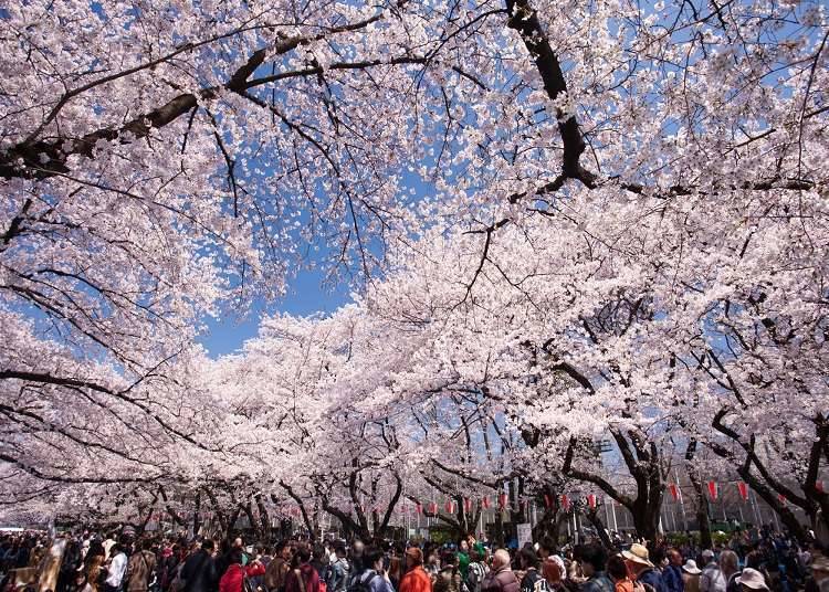 Gambaran Umum Asakusa dan Ueno
