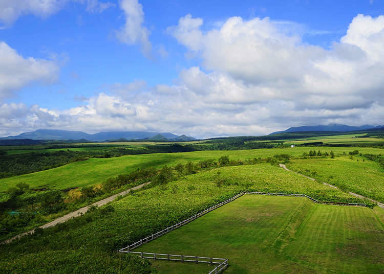北海道;道産子の土地