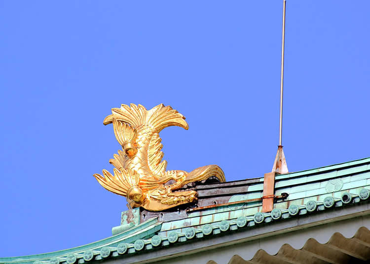 東海:ここは猫だらけ!?