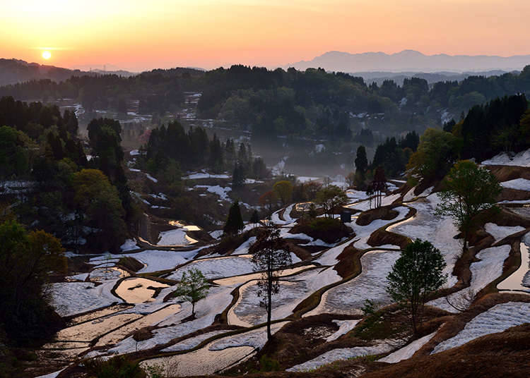 Hokuriku เมืองทีวีที่ไม่ได้บินเมืองพายุทราย