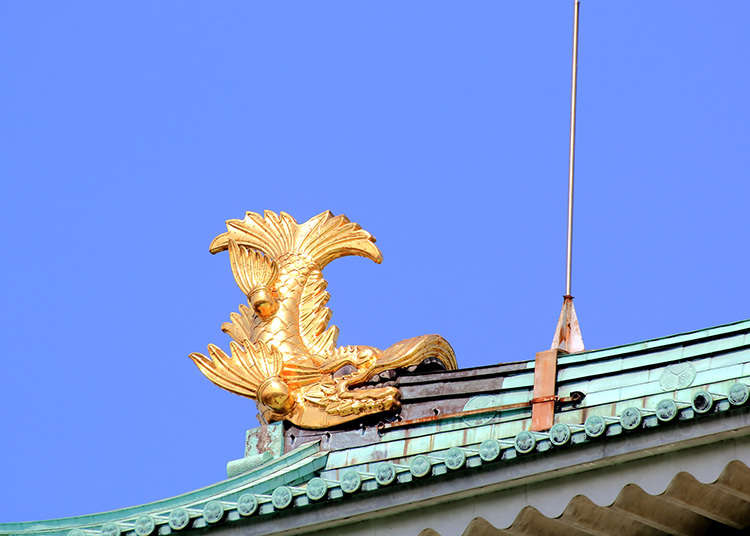 東海:這裡只有貓!?