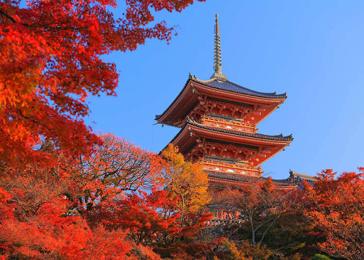 Empat musim - LIVE JAPAN (Jepun Travel dan Pelancongan dan ...