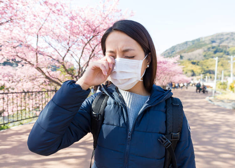 Hay Fever