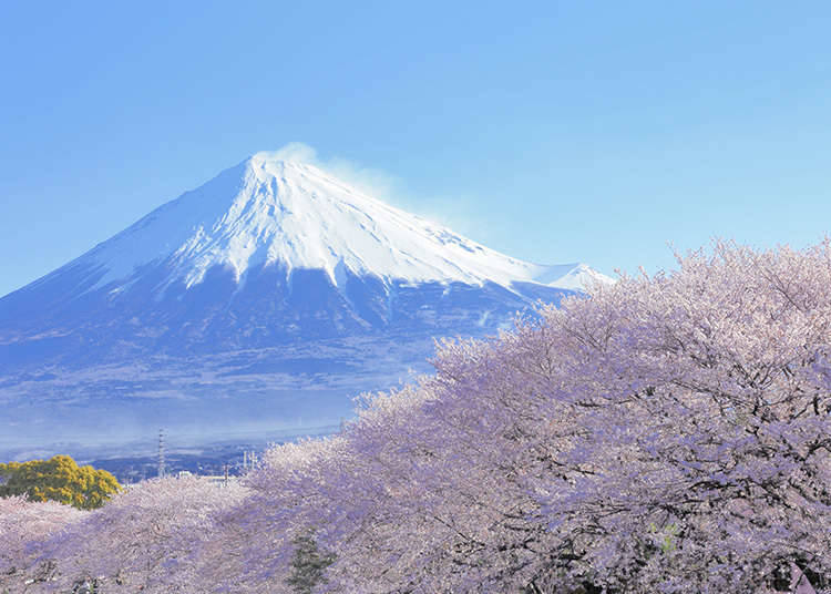ゴールデンウィーク