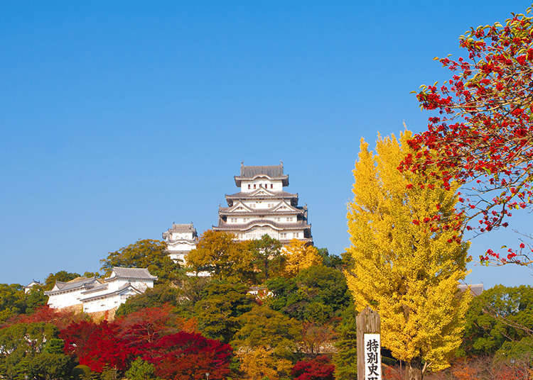아름다운 일본의 성
