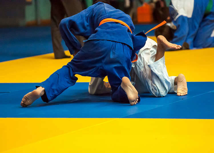 Applying Geidō: Jūdō