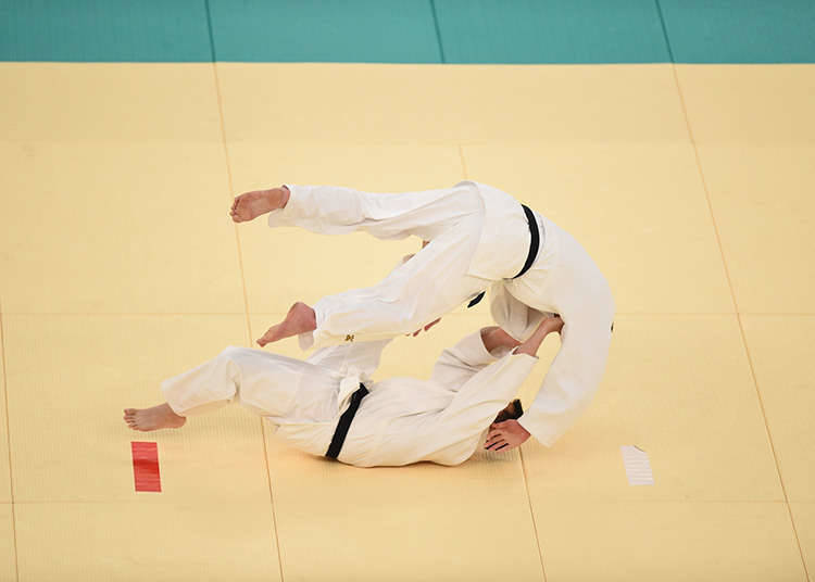Kobujutsu: The Basics of Martial Arts