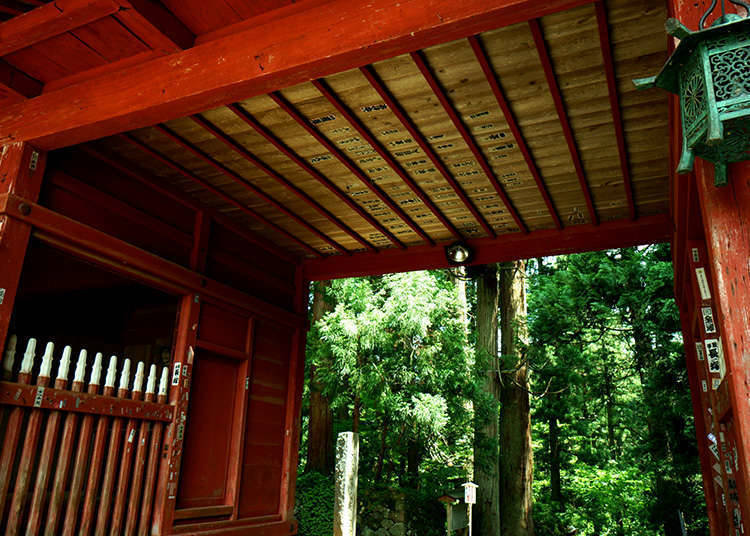 Pintu utama Kuil Buddha