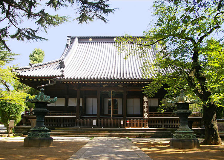 Asal-Usul Yanaka Disebut Daerah Kuil Buddha