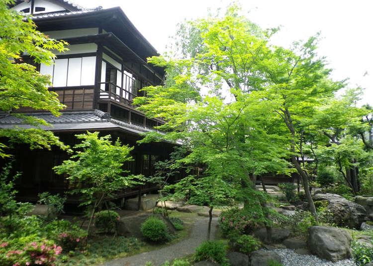 文豪や芸術家に愛された閑静な街