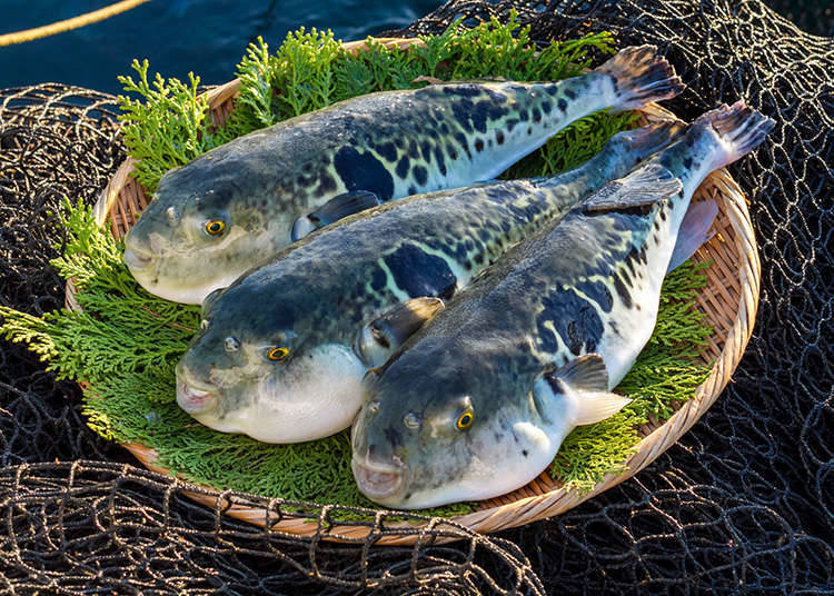 Types of fugu