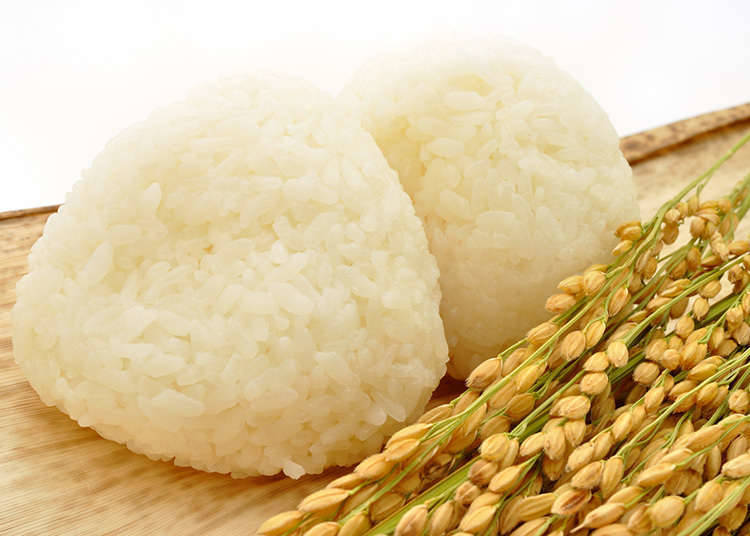Permulaan bento