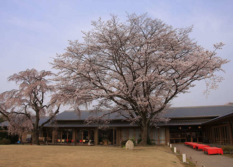 Many unique facilities