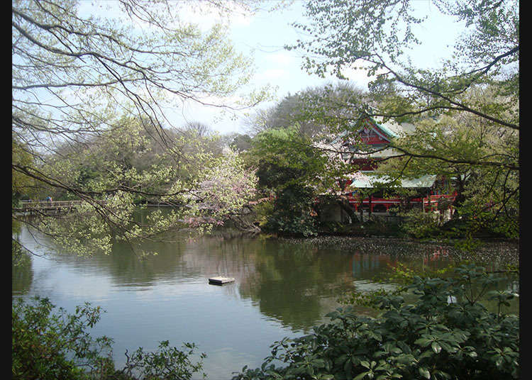 Strolling about Inokashira Park