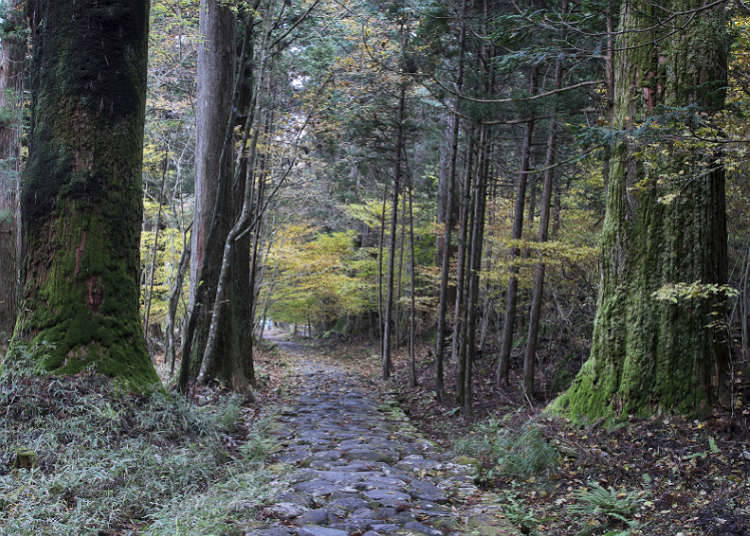 Tips and rules for visiting historic sites