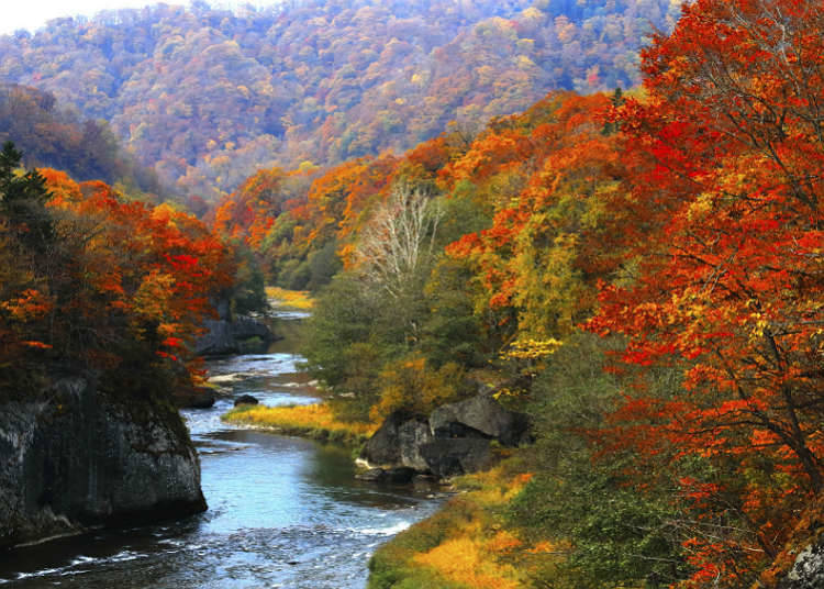 Seperti Apa Lembah dan Jeram di Jepang?