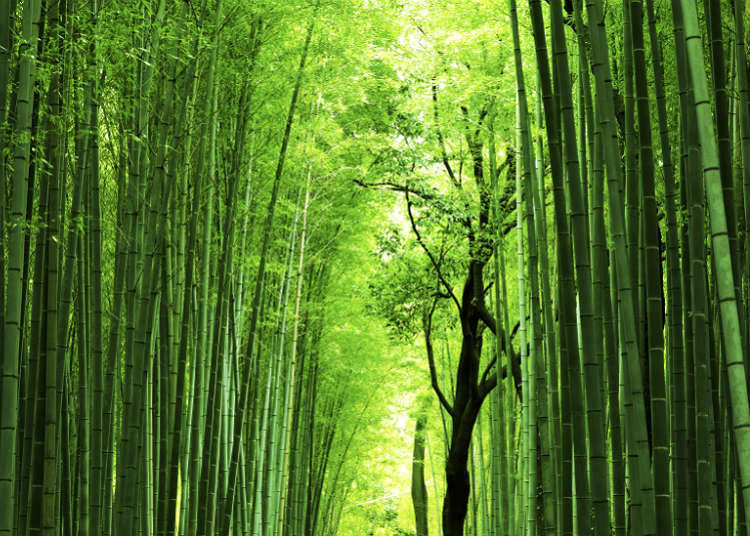 Exotic natural landscape