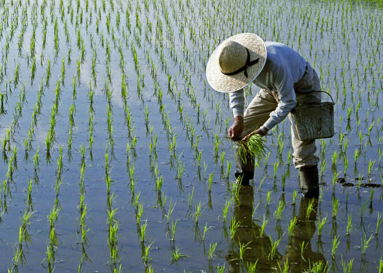 Peningkatan pekerjaan sampingan petani dan migrasi setempat