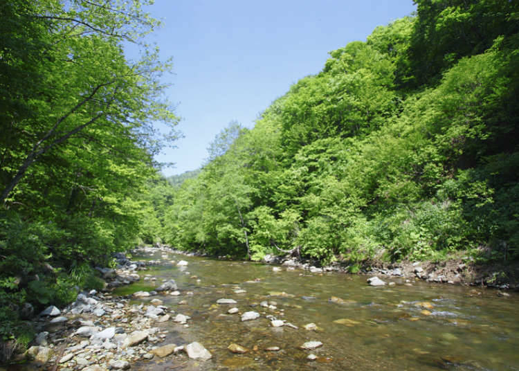 자연유산 산