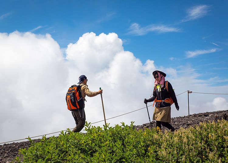 The Gotemba Trail