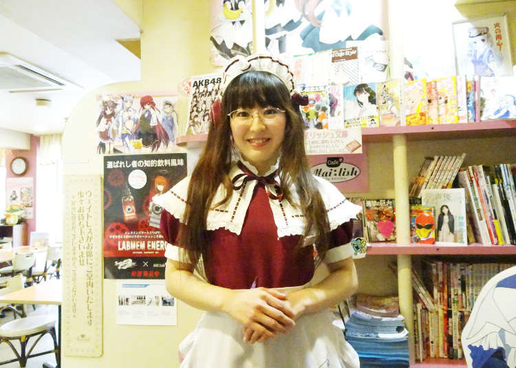メイリッシュへようこそ!