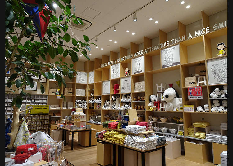 「BROWN'S STORE」에서 쇼핑!