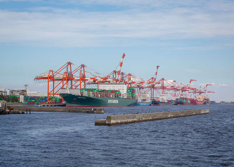 Of the Beauty of Cranes and Cargo