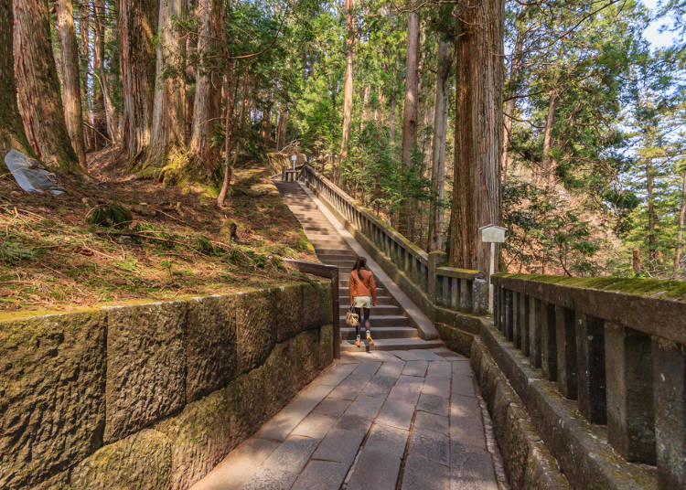 The Stone Steps Behind the Rear Shrine