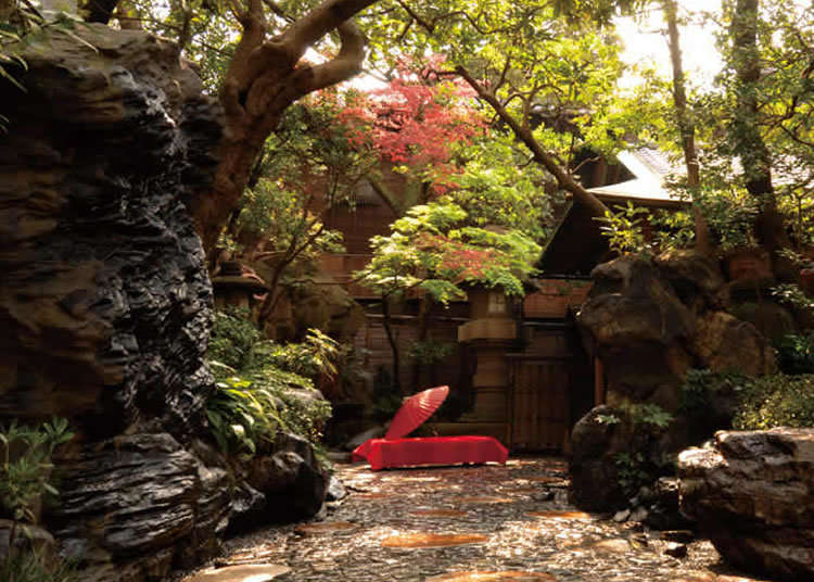 Enjoying Mizutaki in a Scenic Back Room