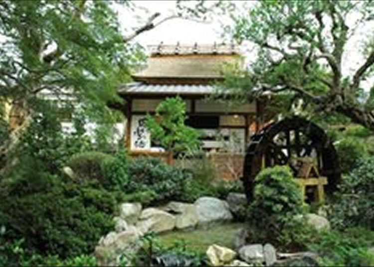 Travel Back to Edo: The Authentic Deliciousness of Japanese Tofu