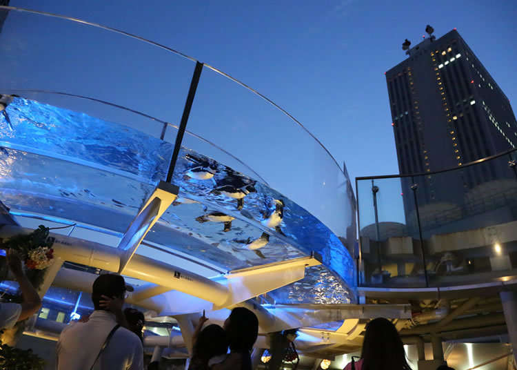 エンタメ満載!水族館のビアガーデン