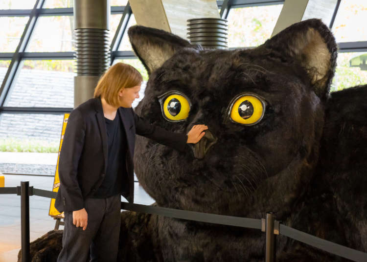 A welcoming black cat