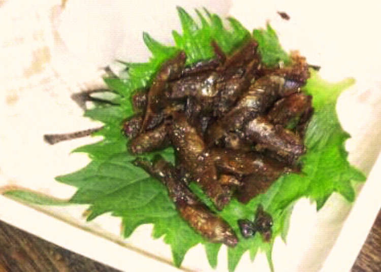 野味居酒屋的珍藏人氣菜單
