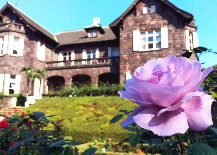 Kyu-Furukawa Gardens: Sceneries from a Fairytale