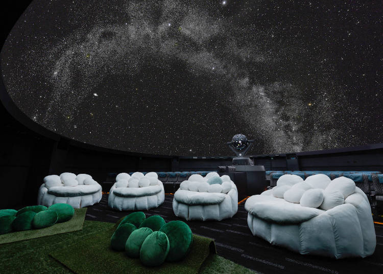 寝そべりながら眺める満天の星空