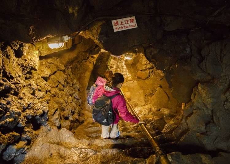 “WILD CAVE” แม้หน้าร้อนก็ยังหนาว