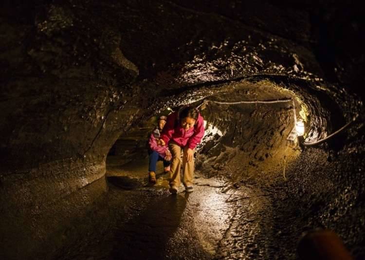 ลงไปยังชั้นใต้ดินลึกของ “ICE CAVE”