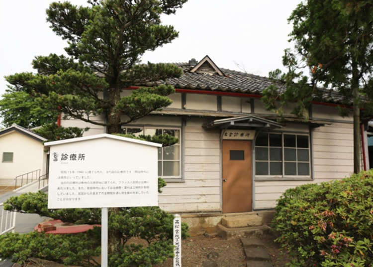 The Beautiful Director's House