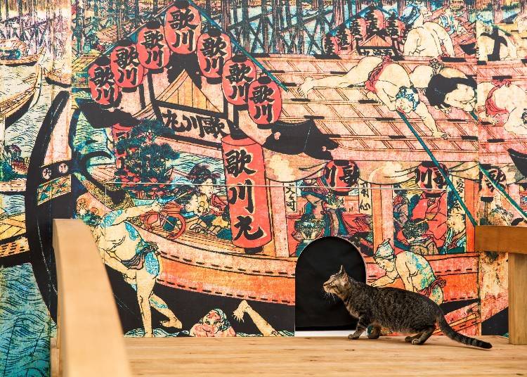 Edo Cat Cafe