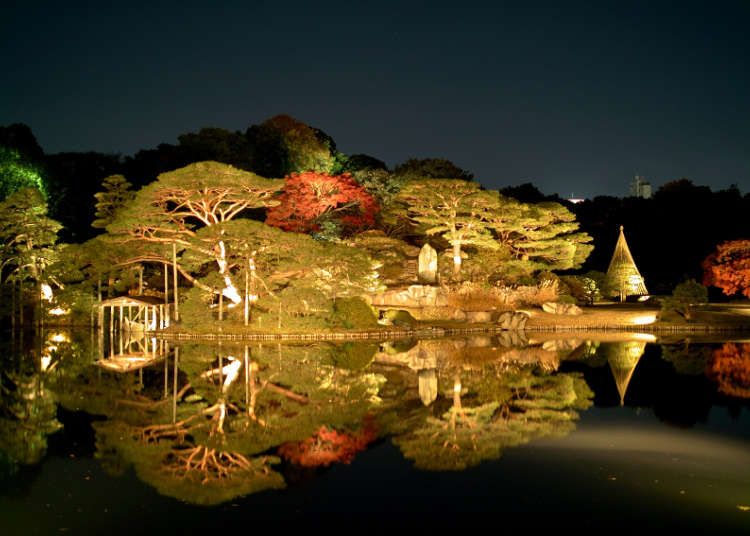 Rikugien Gardens: A Beautifully Lit Up Feudal Lord Garden