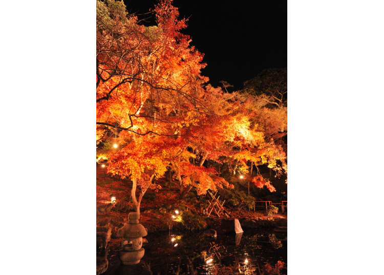 Hase-dera: An Autumnal Ancient Temple Tour