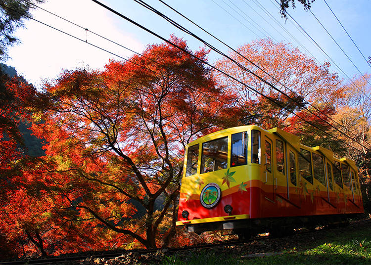 Mount Takao: Through a Colorful Tunnel