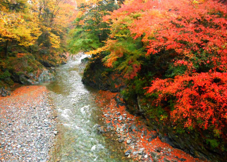 Hikawa Valley: Taking an Autumn Stroll along a Clear Stream
