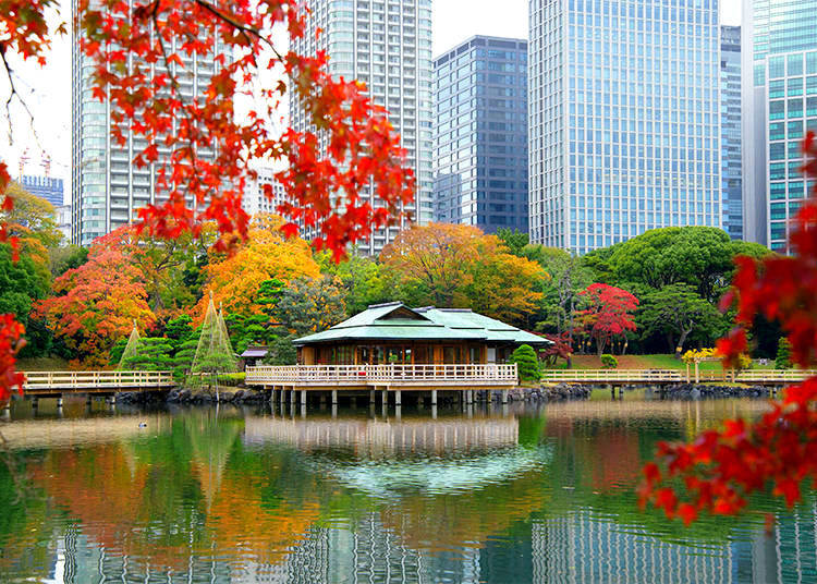 Hamarikyu Gardens: Harmony between Nature and High-Rise Buildings