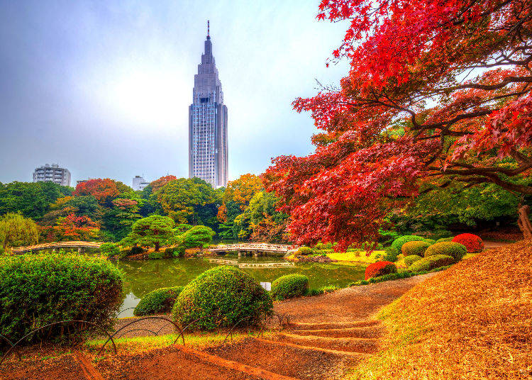 Shinjuku Gyoen National Garden: Experience Autumn in Three Unique Gardens