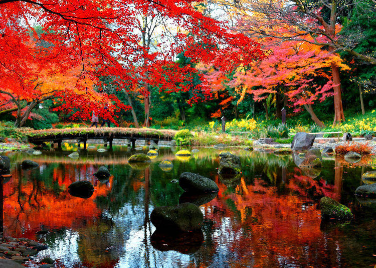Koishikawa Korakuen Gardens: An Exceptional and Traditional Autumn Scenery