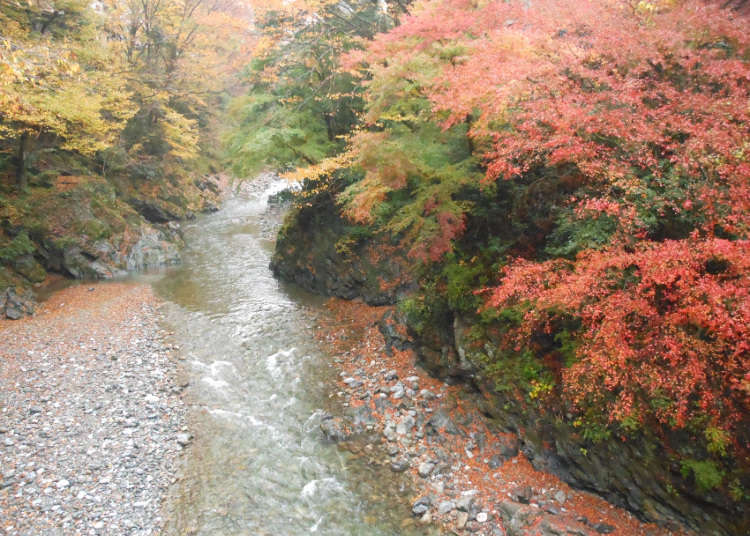 清流と紅葉を愛でるウォーキング
