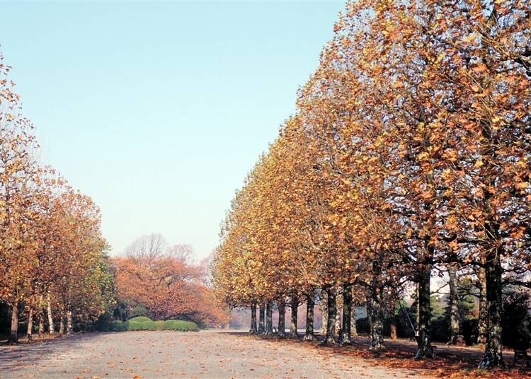 3つの異なる庭園で楽しむ紅葉