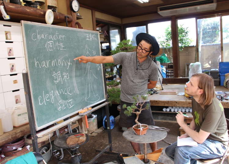 Knowing More About Bonsai Culture
